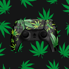 Eco